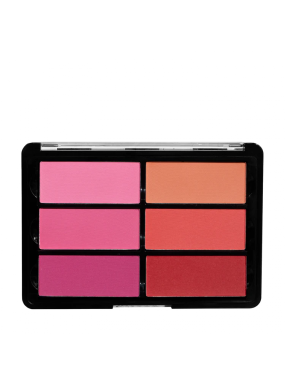 ПАЛЕТКА РУМЯН ROSE/CORAL VBL02 VISEART 24g