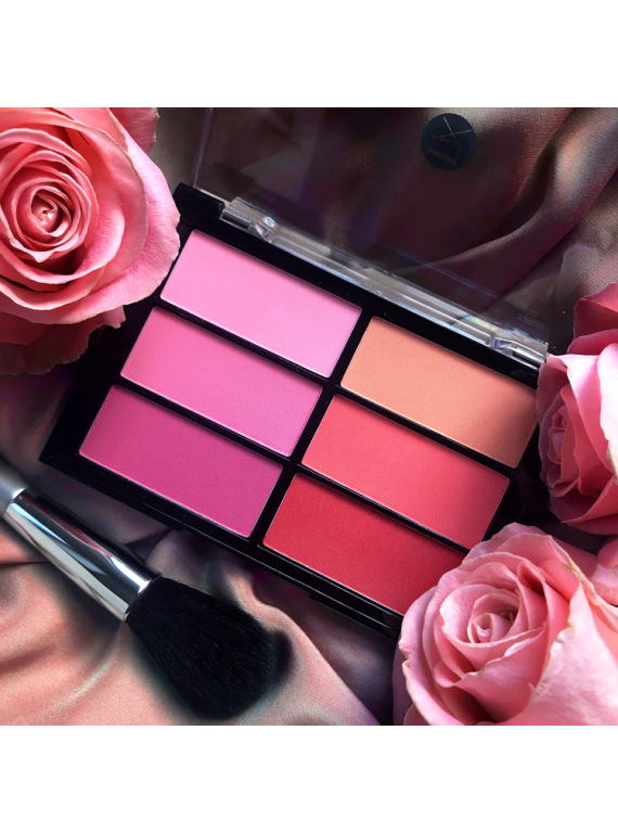 ПАЛЕТКА РУМЯН ROSE/CORAL VBL02 VISEART 24g
