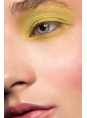 ТЕНИ BASIC EYESHADOWS 098 PROVG makeup 2g ТЕНИ BASIC EYESHADOWS 098 PROVG makeup 2g