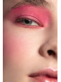 ТЕНИ BASIC EYESHADOWS 102 PROVG makeup 2g