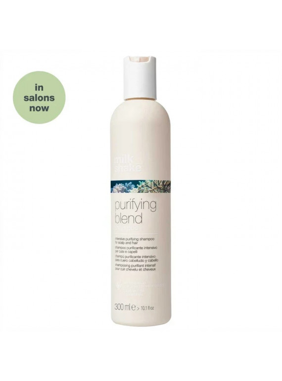 ШАМПУНЬ ОЧИЩАЮЩИЙ ПРОТИВ ПЕРХОТИИ СЕБОРЕИ PURIFYING BLEND MILK SHAKE 300ml